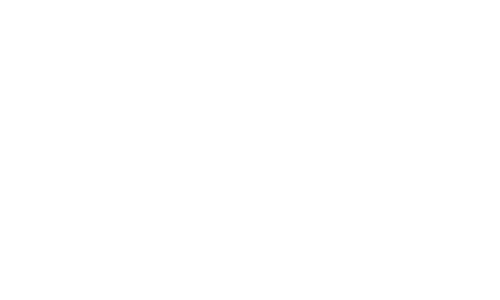 dedeman